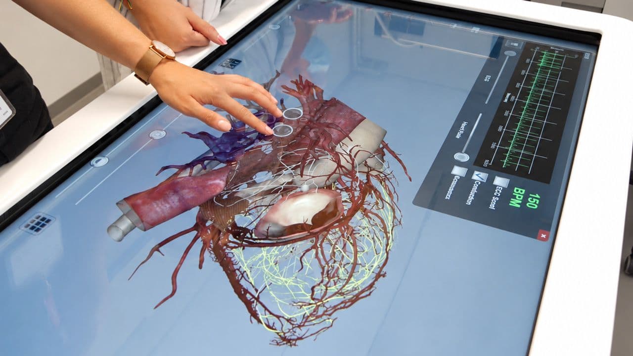 3 Anatomy Labs with 3D Anatomage